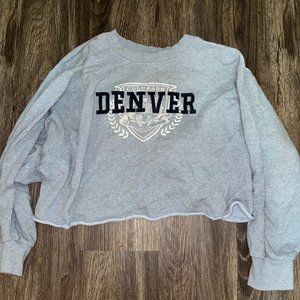 Wild Fable (Target) Soft Blue Denver City Sweater